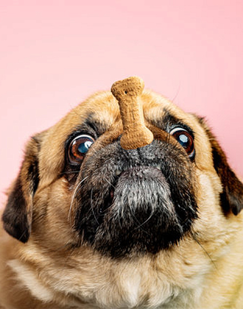 Темная сторона самоконтроля