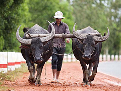 В какие страны уходят транснациональные корпорации