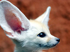 Как научиться быть мощным слушателем