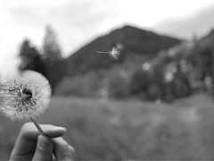 Руководители тоже смертны и должны с этим смириться