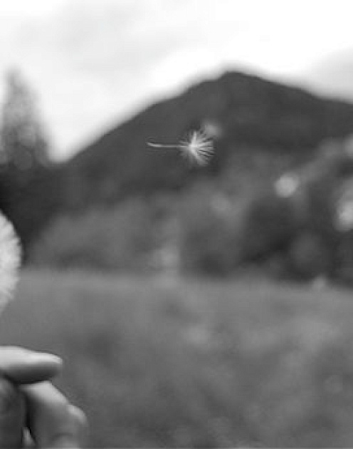 Руководители тоже смертны и должны с этим смириться