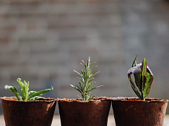 Что делать, если бизнес растет быстрее, чем команда