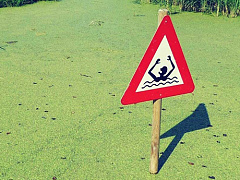 Почему экономический рост в США не создает новые рабочие места