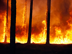 Уроки катастроф