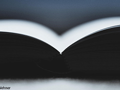 Хотите научиться думать?