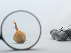 Ориентир на периферию