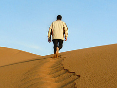 От теорий лидерства не всегда есть прок