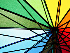 Как выбрать идею для нового бизнеса: пионер или последователь?