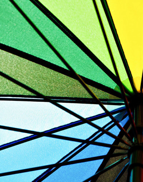 Как выбрать идею для нового бизнеса: пионер или последователь?