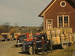 9 симптомов упадка компании и как с этим бороться