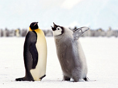 «О чем ты думал?»: чего нельзя говорить тем, кто совершил ошибку