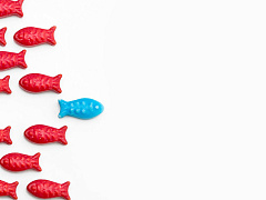 Женский отказ: почему большинство руководящих постов занимают мужчины