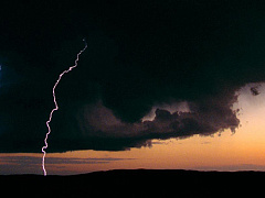 Опьянение властью заглушает эмпатию