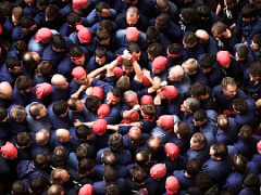 Команда vs коллектив