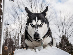 «Ему плевать?»: как руководитель должен реагировать на стресс в команде