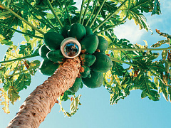 Интеллект под контролем: что не так с использованием ИИ для бизнеса