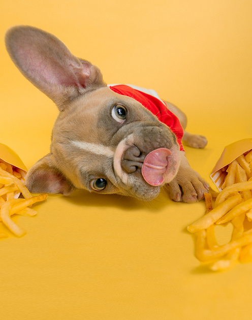 Чтобы понять клиентов, нужны не только данные