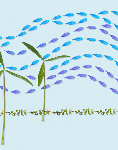 Климатический вопрос: почему открытость в вопросах изменения климата важна для бизнеса