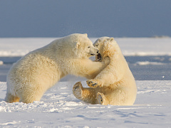 В трудном разговоре поможет эмоциональный интеллект