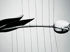 Остановить харассмент