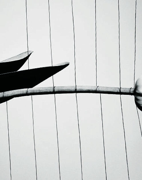 Остановить харассмент