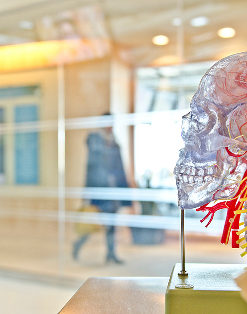 Михаил Угрюмов. Болезни мозга: как спасти нейроны