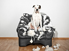 Почему люди лгут на работе