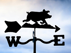 Хотите стать настоящим боссом, чаще говорите «мы» вместо «я»