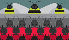 Пережить M&A