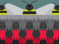 Пережить M&A