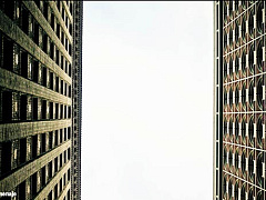 Матричный менеджмент: инструкция к применению