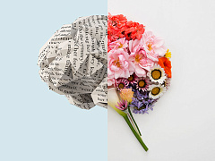 Как правильно совмещать эмоциональный интеллект и аналитические способности