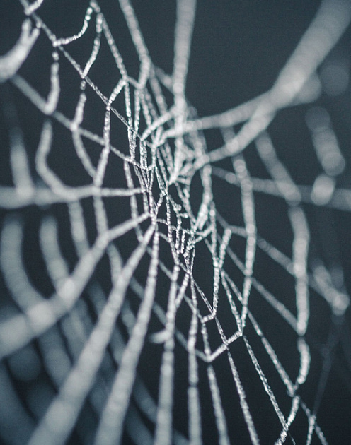 В паутине неудач