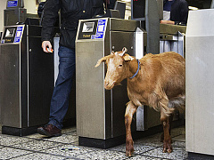 Зачем нужны офисы в век интернета?