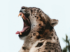 Как не сходить с ума на работе: опыт компании Basecamp