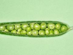 Что может мотивировать сотрудников стартапа, если IPO еще не скоро