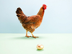 Хотите увеличить стоимость компании? Перестаньте думать о EBITDA