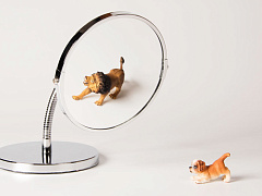 «Кто я?»: как узнать, что о вас думают коллеги