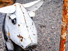 Эмоциональный интеллект: учимся нанимать лучших из лучших