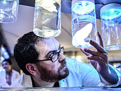 Сделайте так, чтобы ваша новая идея выглядела не такой пугающей