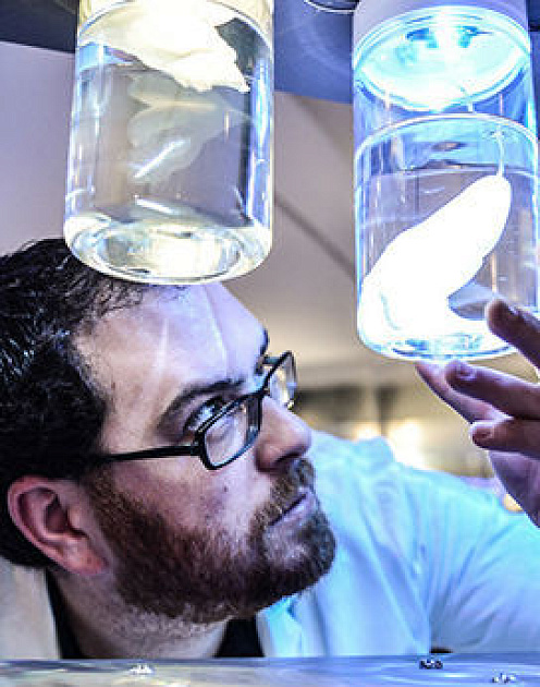 Сделайте так, чтобы ваша новая идея выглядела не такой пугающей