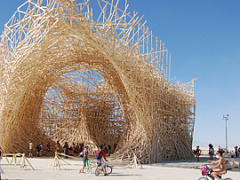 Как нам реорганизовать милицию?