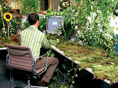 Пять мифов о мышлении роста