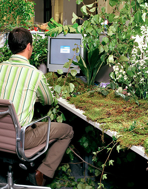 Пять мифов о мышлении роста