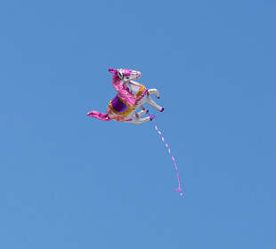 Идеи для лидера: как продавать умные продукты и перестать охотиться на «единорогов»