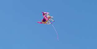 Идеи для лидера: как продавать умные продукты и перестать охотиться на «единорогов»