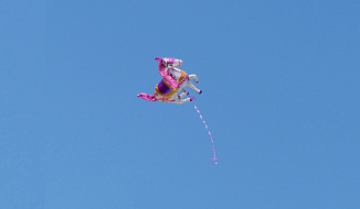 Идеи для лидера: как продавать умные продукты и перестать охотиться на «единорогов»