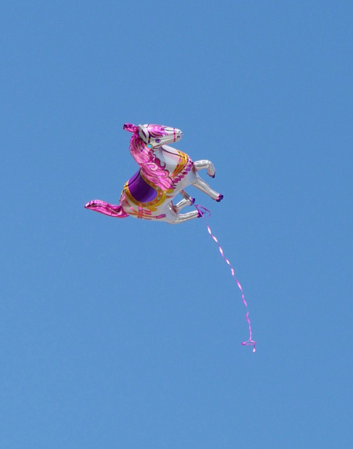 Идеи для лидера: как продавать умные продукты и перестать охотиться на «единорогов»