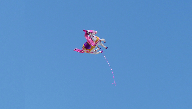 Идеи для лидера: как продавать умные продукты и перестать охотиться на «единорогов»