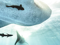 Нетворкинг: 4 способа избавиться от назойливого собеседника